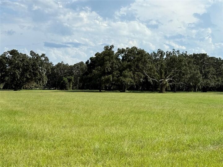 Property Photo:  C 478A  FL 33597 