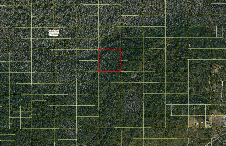 Property Photo: 0 Holopaw Groves Road FL 34773