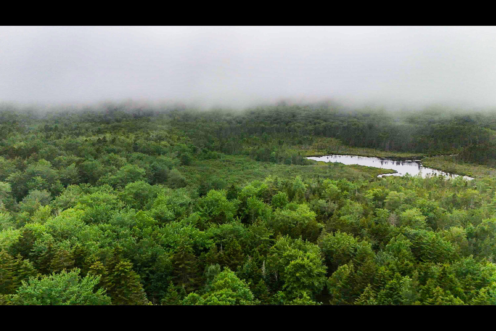 Property Photo:  50-52A-54 Old County Road  ME 04676 