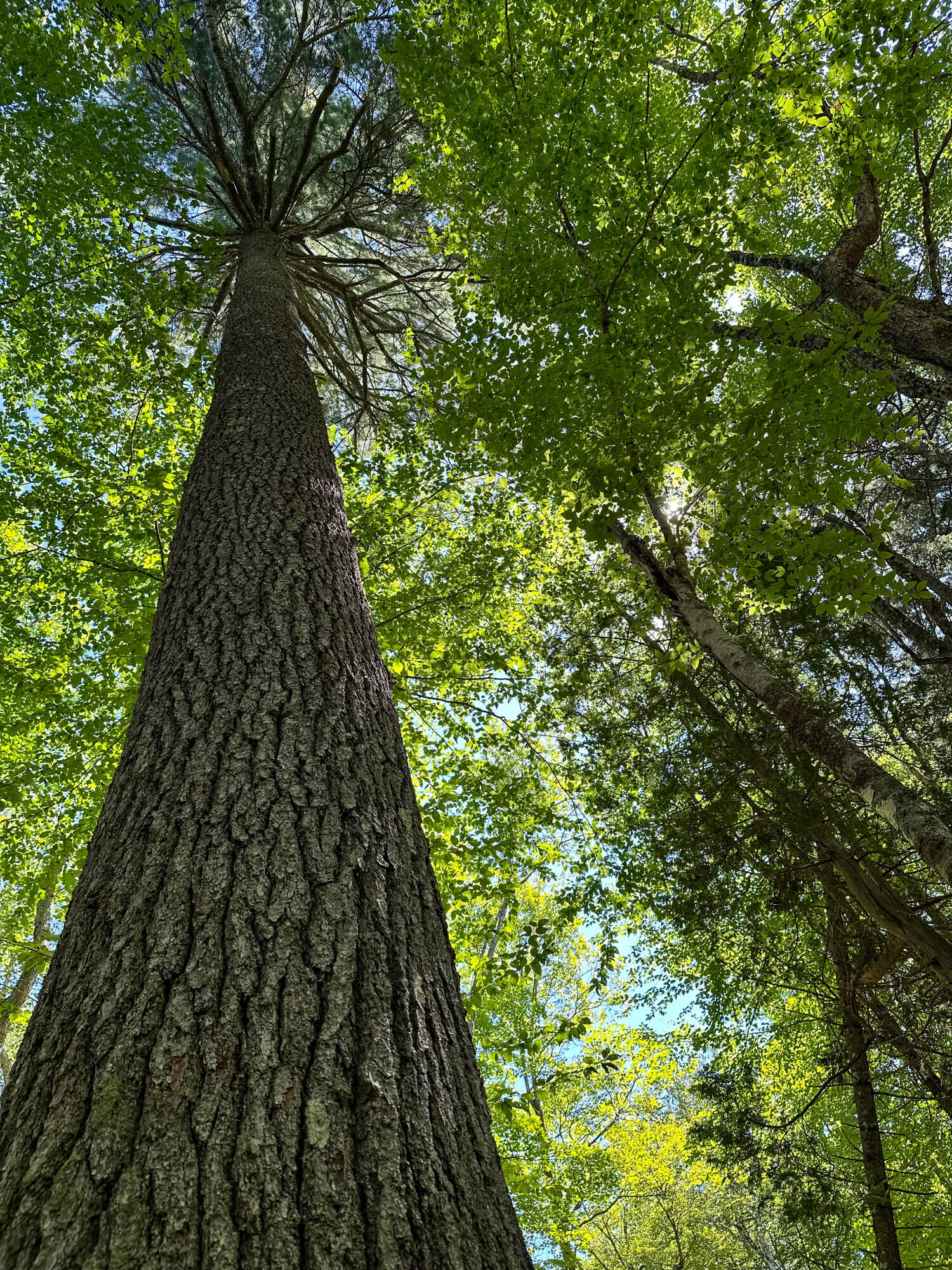 Property Photo: 50-52A-54 Old County Road ME 04676