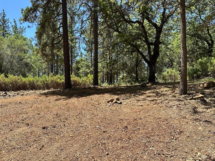 Property Photo:  16677 Winchester Club Drive  CA 95722 