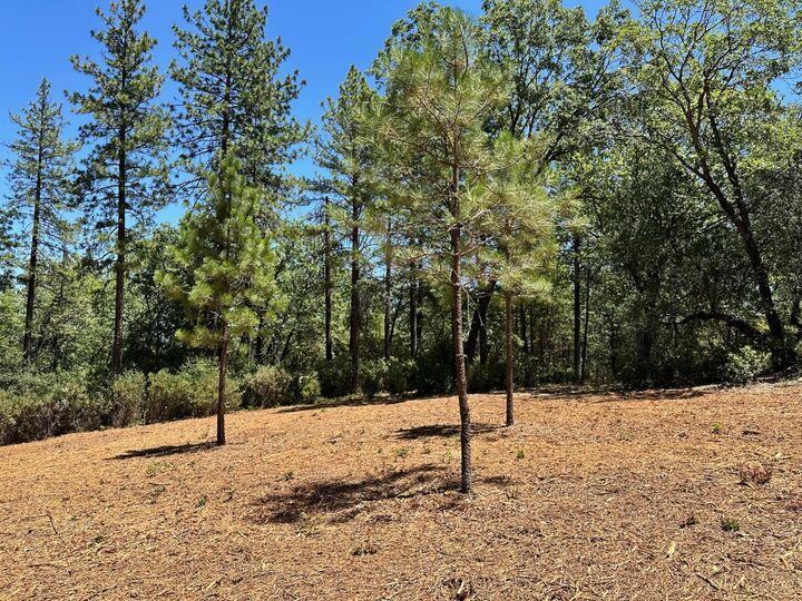 Property Photo:  16689 Winchester Club Drive  CA 95722 