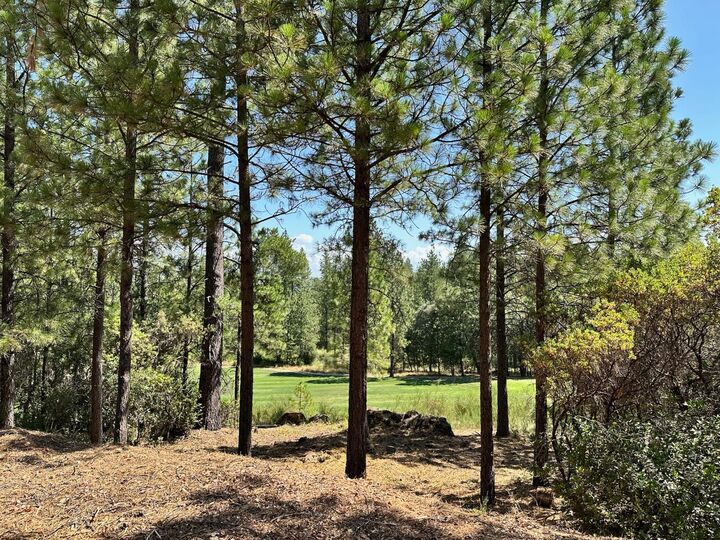 Property Photo:  1825 E Summit View Drive  CA 95722 