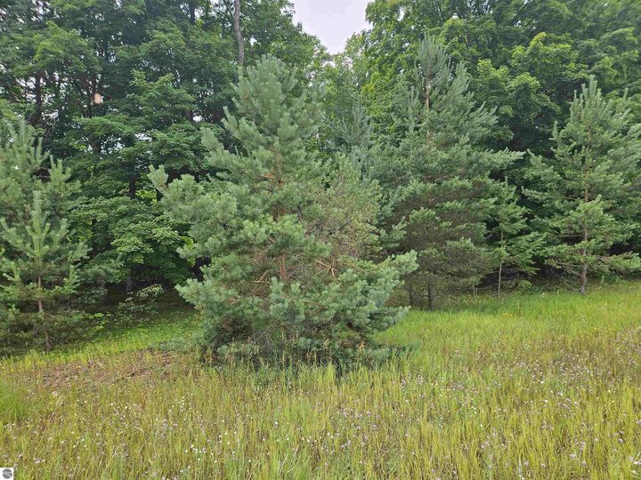 Property Photo: 0000 V/L "D" Grass Lake Road MI 49646