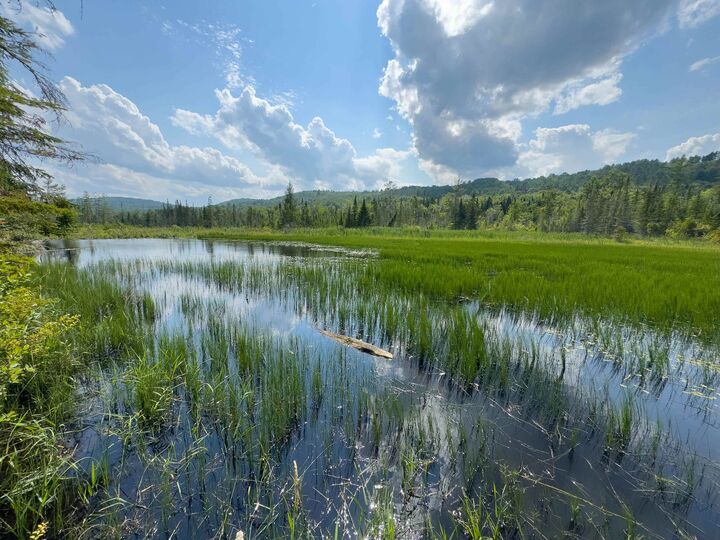 Property Photo: 00 Scotch Hollow Road VT 05051