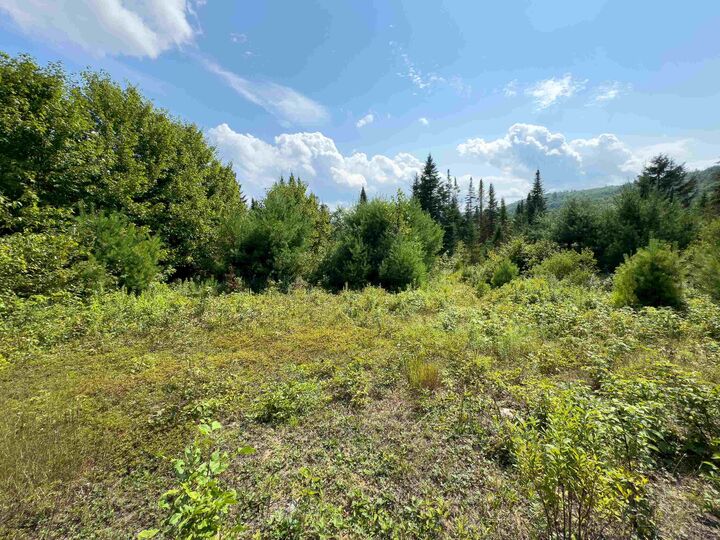 Property Photo:  00 Scotch Hollow Road  VT 05051 