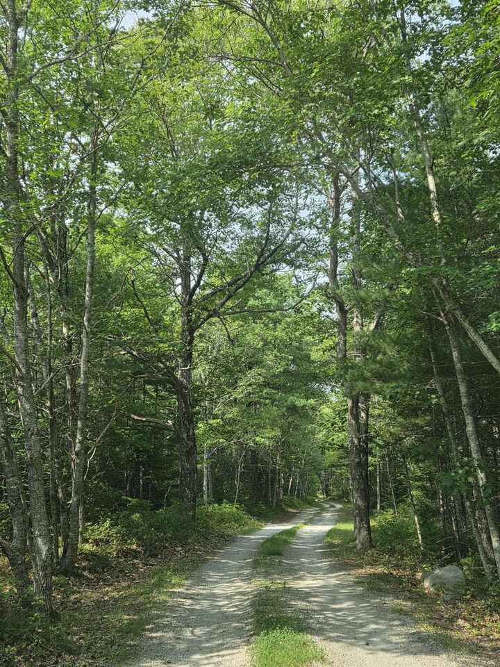 Property Photo:  Highway 103  NS B0T 1W0 
