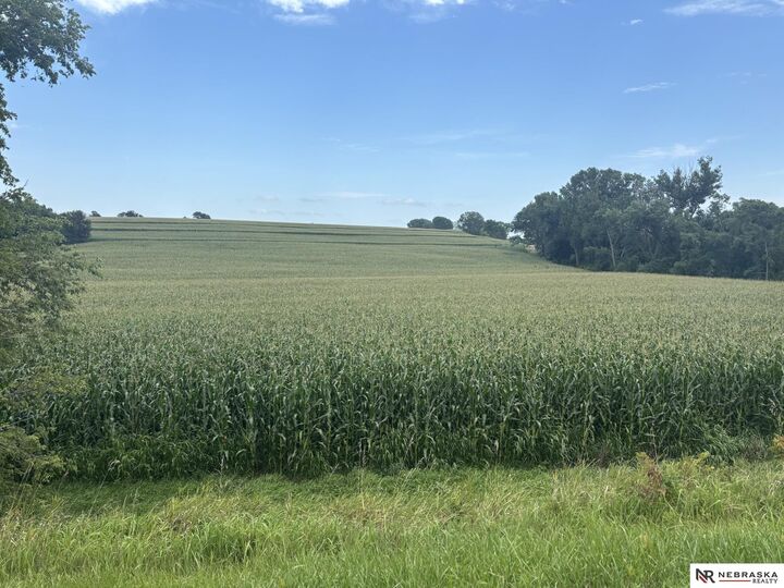 Property Photo:  Tbd 138th &Amp Hwy 36  NE 68007 