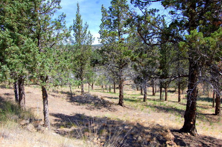 Property Photo:  NE Tl 700 Irvine Avenue  OR 97754 