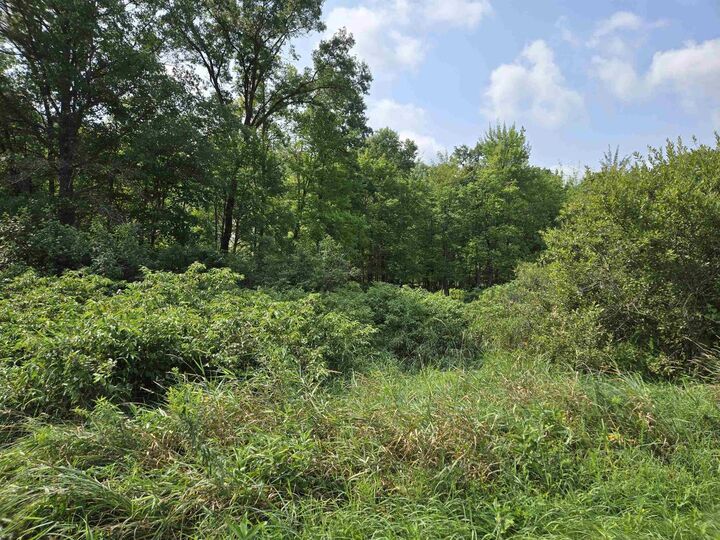 Property Photo:  0 Chicago Avenue  WI 54930 