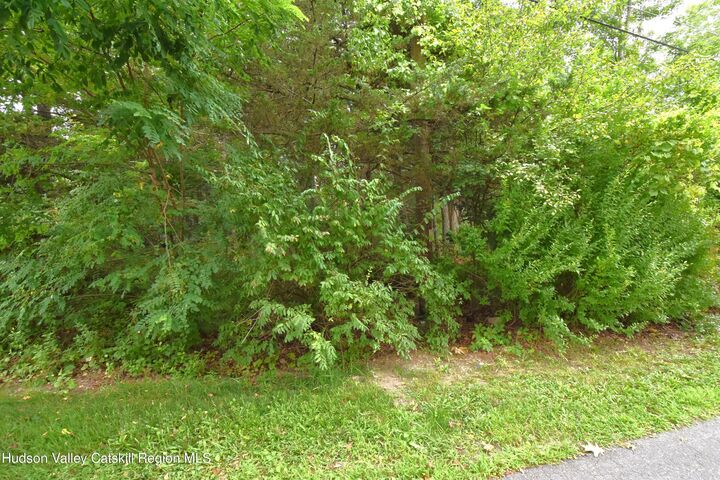 Property Photo:  Tbd Oak  NY 12477 