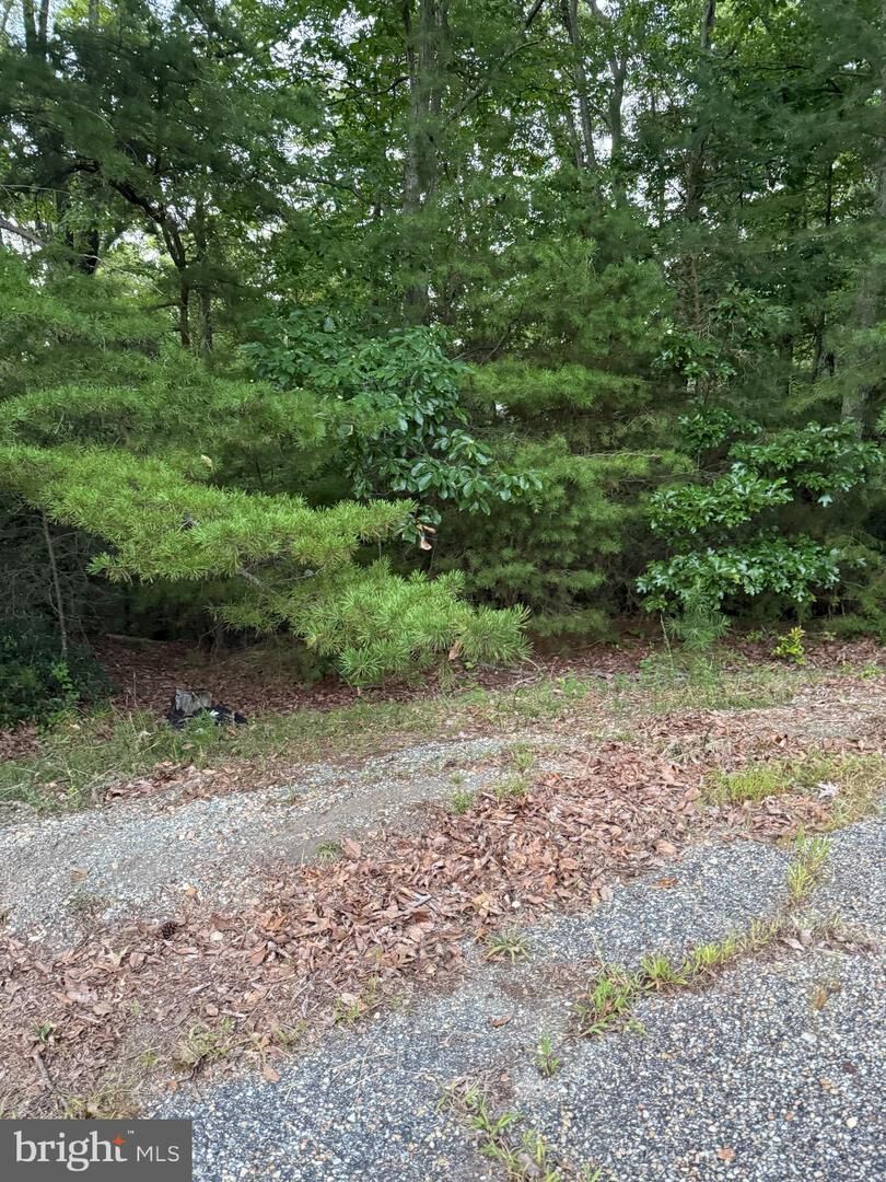 Property Photo: Lot 38 And 39 Calvary VA 22520
