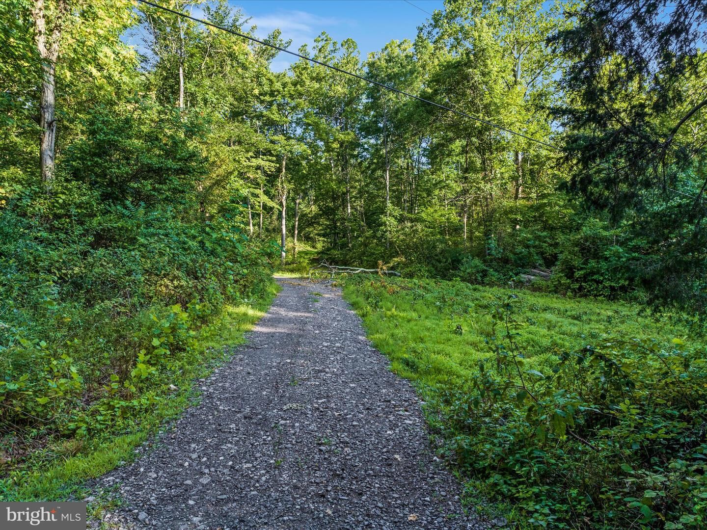 Property Photo: 0 Gooney Manor Loop VA 22610