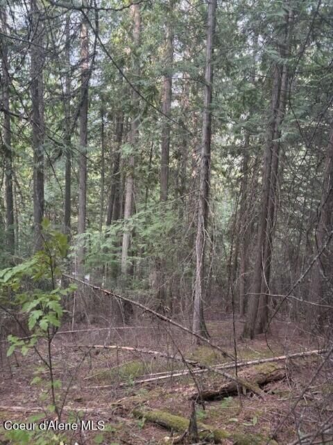 Property Photo: Tbd Big Buck Rd ID 83803