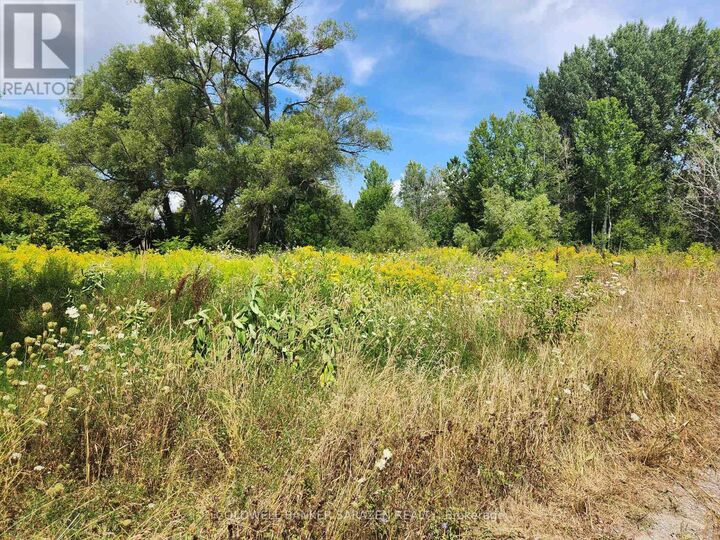 Property Photo:  115 Poole Street  ON K7S 1J1