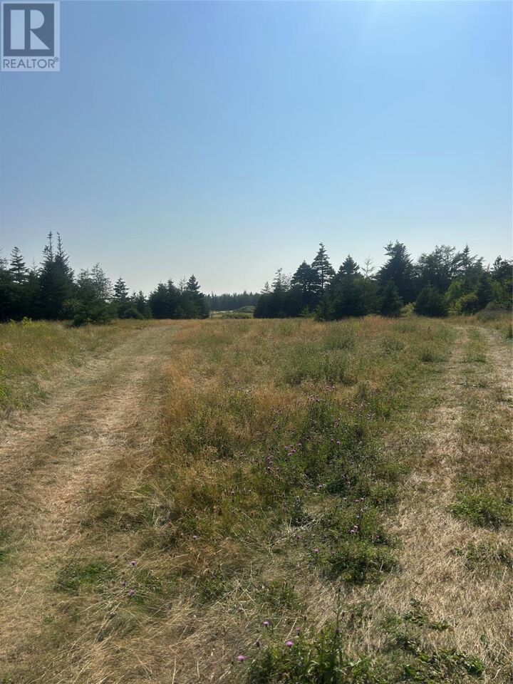 Property Photo:  0 Beaver Pond Road  NL A0A 1W0 