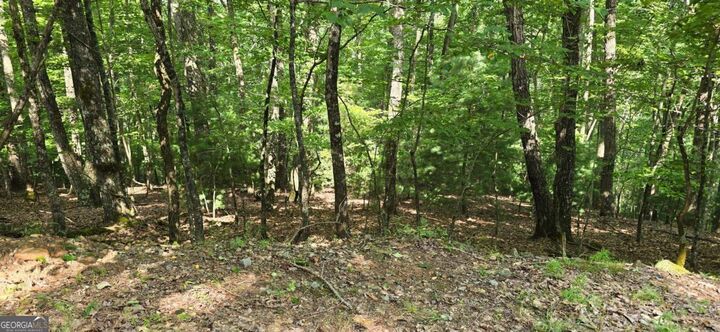 Property Photo: 6.51 Ac High Country Lane GA 30560