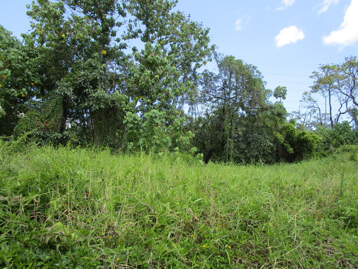 Property Photo: Kupulau Rd HI 96720