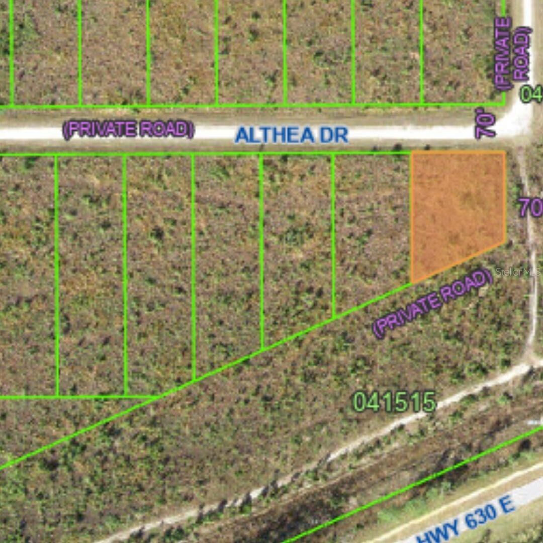 Property Photo: Althea Drive FL 33855