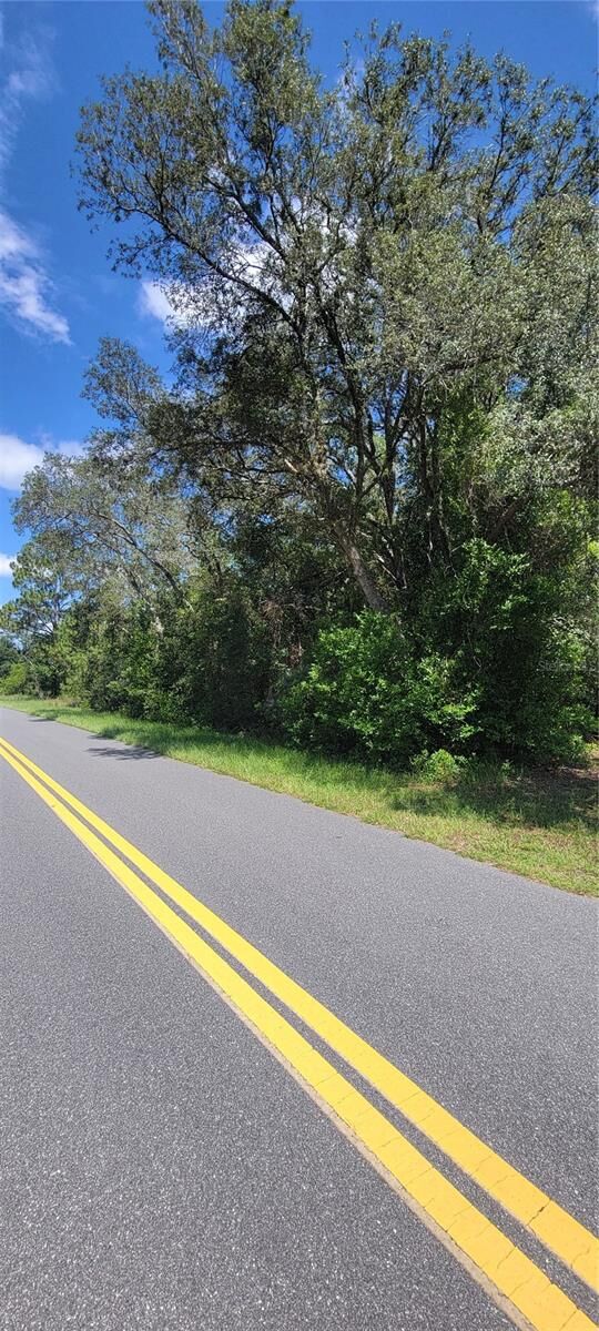 Property Photo: 0 SW Beach Boulevard FL 34431