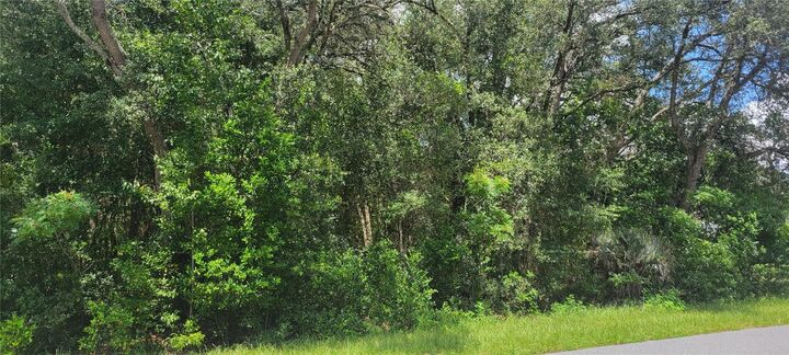 Property Photo: 0 SW Beach Boulevard FL 34431