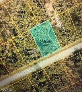 Property Photo:  Malaga Avenue  FL 34287 