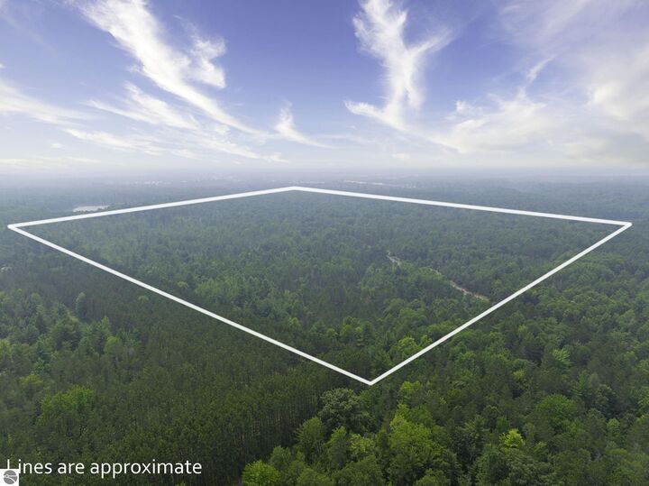 00 Shady Lane  Kalkaska MI 49646 photo