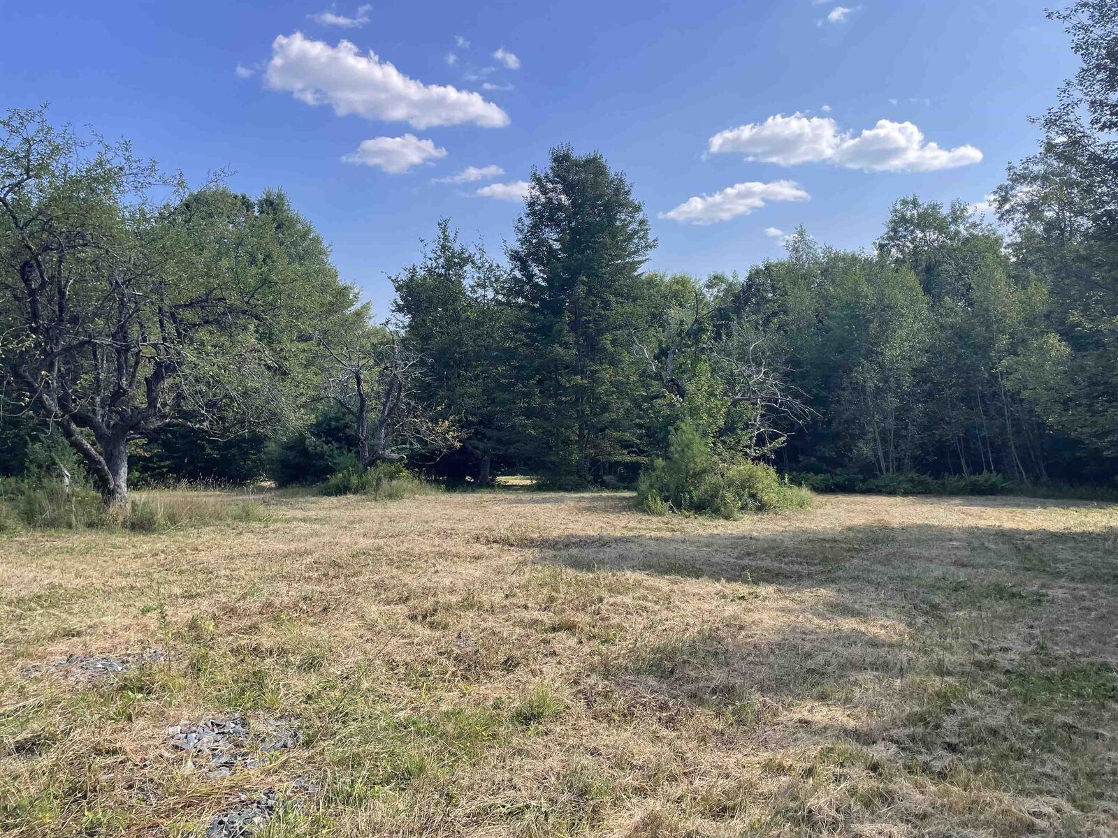 Property Photo: 491 Whitneyville Road VT 05358