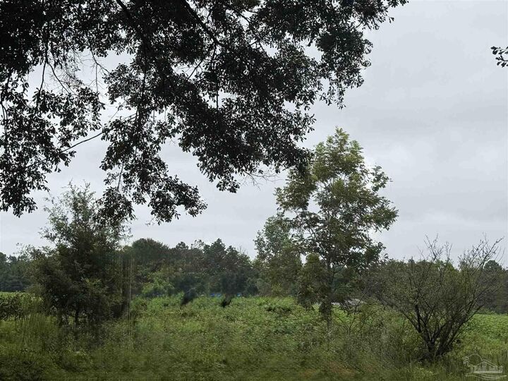Property Photo:  3308 Deloach Ln  FL 32570 
