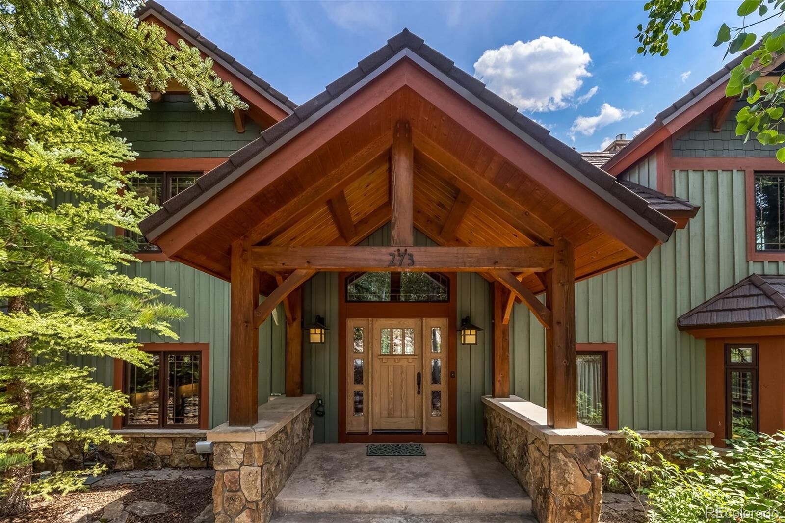 Property Photo:  273 Two Cabins Drive  CO 80498 