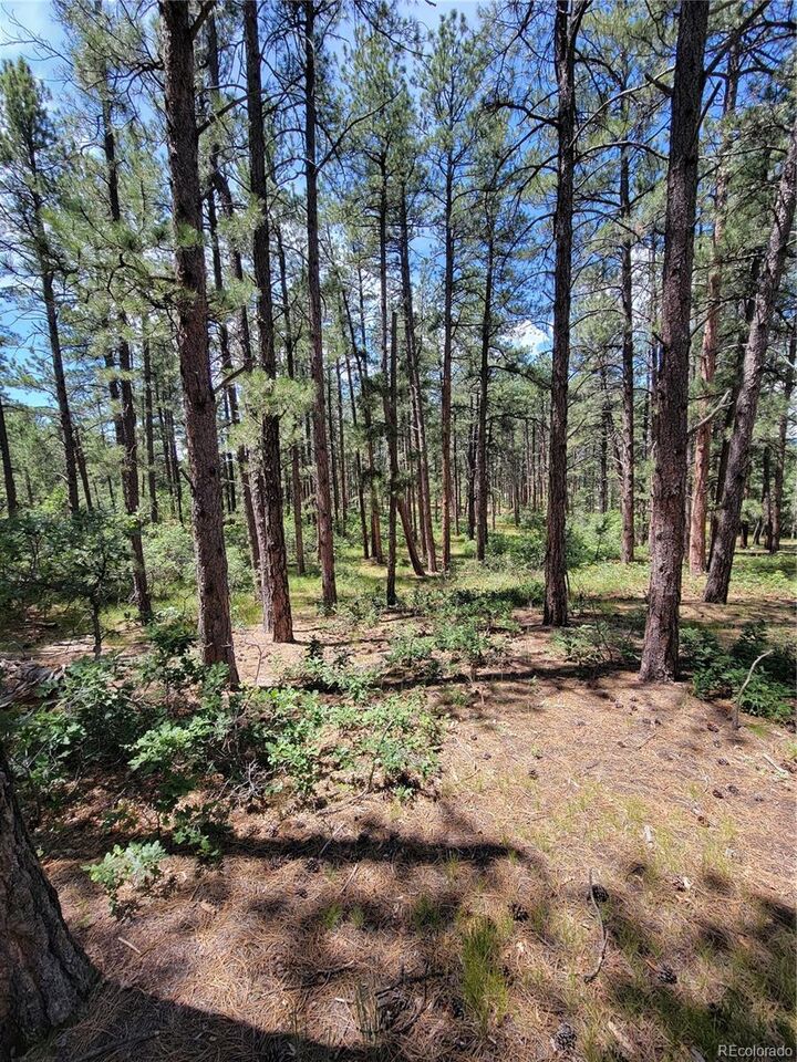 Property Photo:  7169 Independence Court  CO 80118 