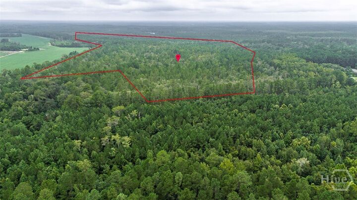 0 Shearwood Road  Guyton GA 31312 photo