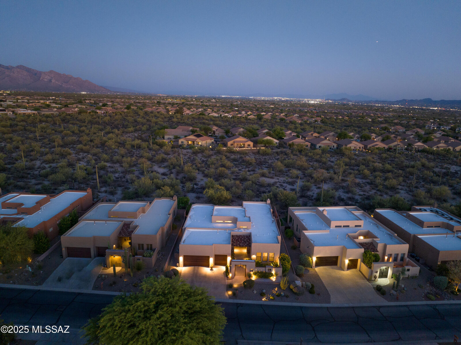 Property Photo:  12446 N Fallen Shadows Drive  AZ 85658 