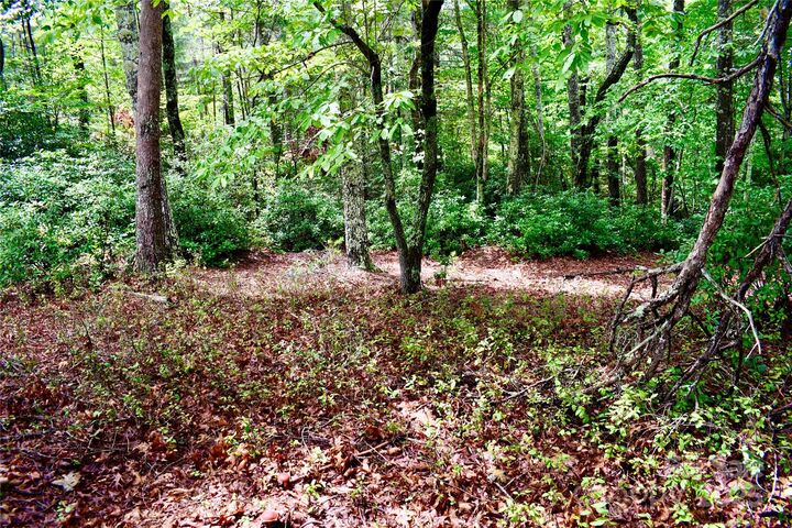 Property Photo:  257 Beacon Ridge Drive 13-12  NC 28761 