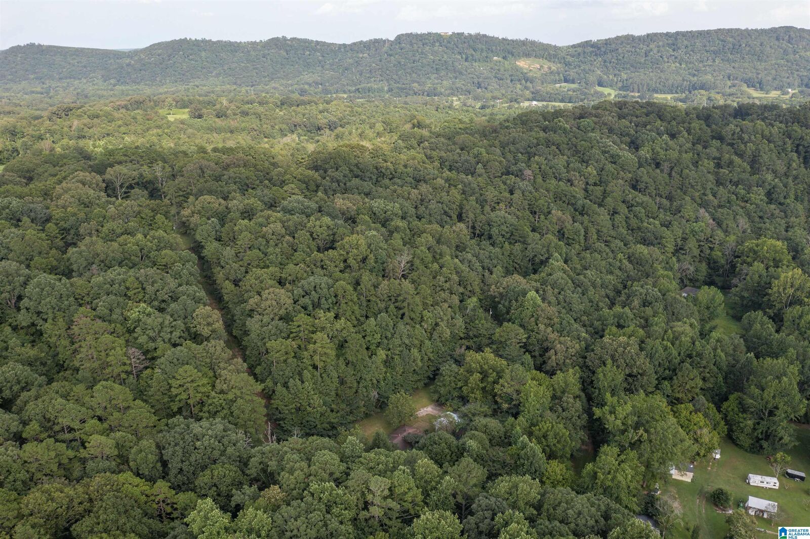 Property Photo: 160 Mill Hill Road AL 35954