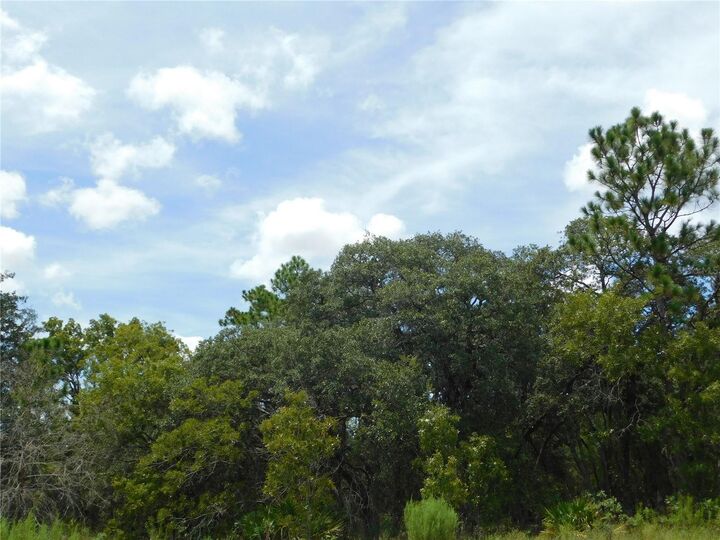 Property Photo: 6681 N Bedstrow Boulevard FL 34434