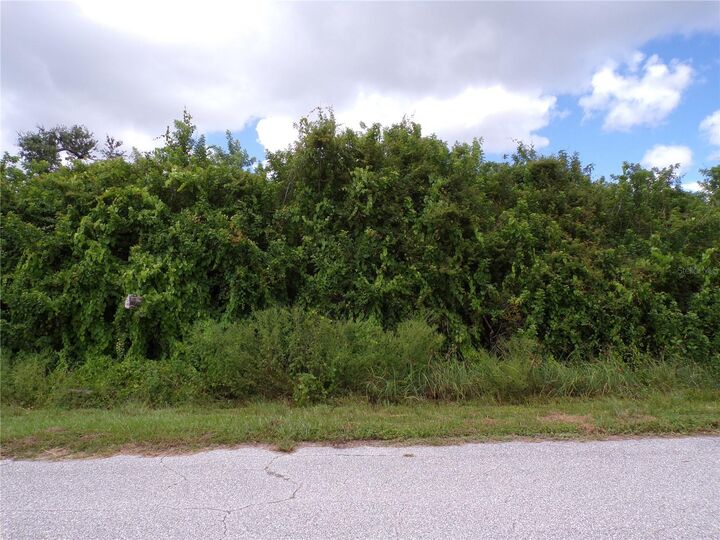 Property Photo: 12508 Rathwell Avenue FL 33981