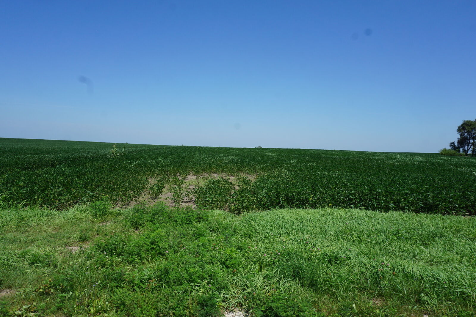 Property Photo:
