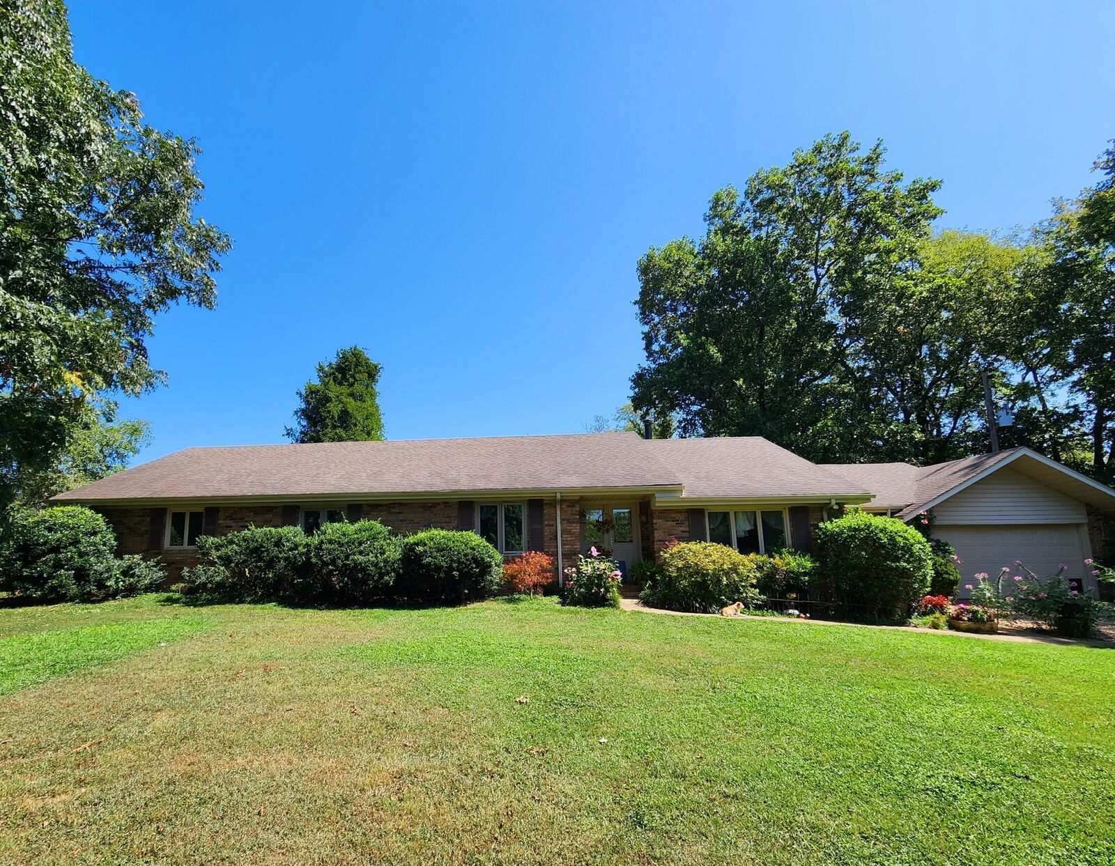 Property Photo:  264 Puncheon Camp Rd  TN 37020 
