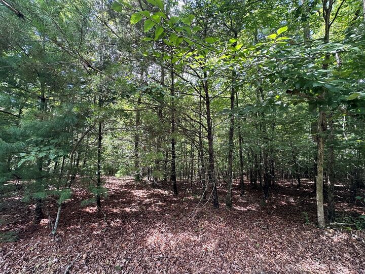 Property Photo:  95 Rabbit Knob Drive  GA 30582 