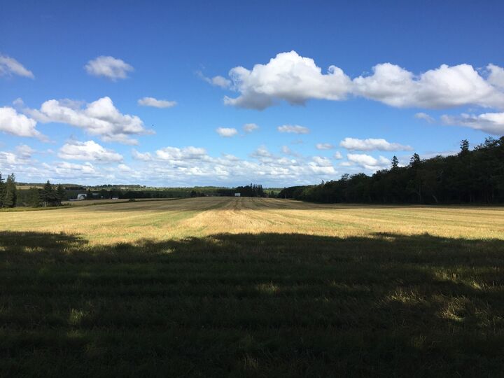 Property Photo:  Baltic Road  PE C1A 8C3 