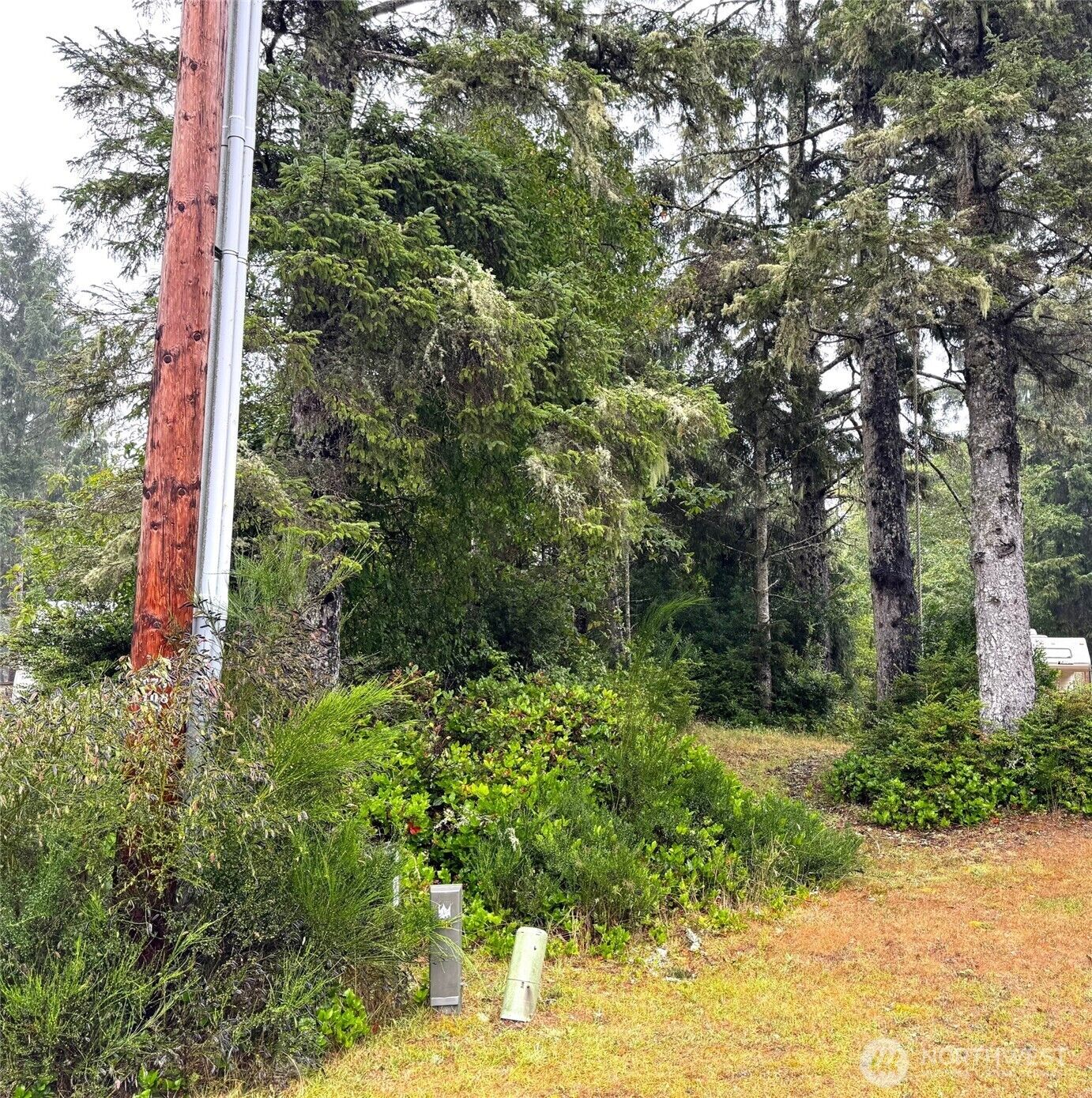 Property Photo:  815  Scaup Court SE  WA 98569 