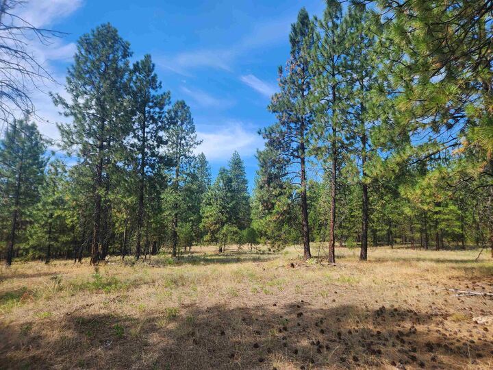 Property Photo:  1866H Northport Flat Creek Rd  WA 99141-9998 