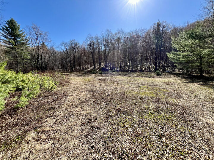 Property Photo:  Off Oswegatchie Trail Road  NY 13690 