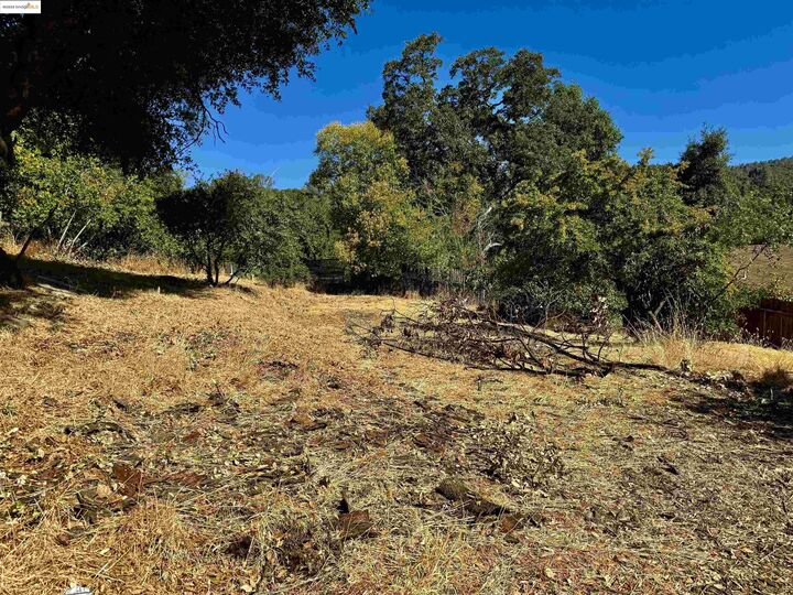 Property Photo: