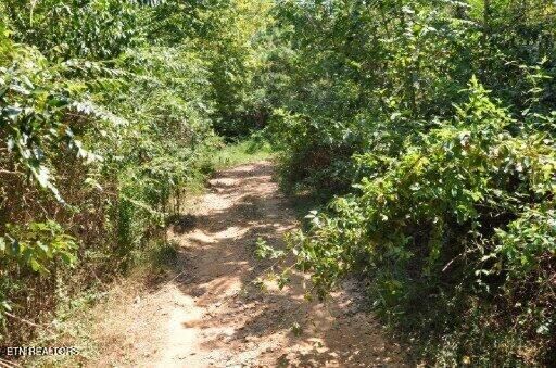 Property Photo: 123 Dogwood Ridge Rd TN 37763