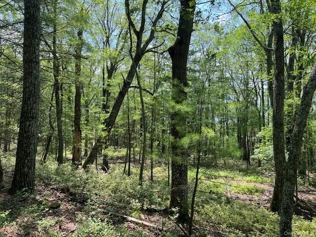 Property Photo: Lot 7 Sunflower Drive NY 12737