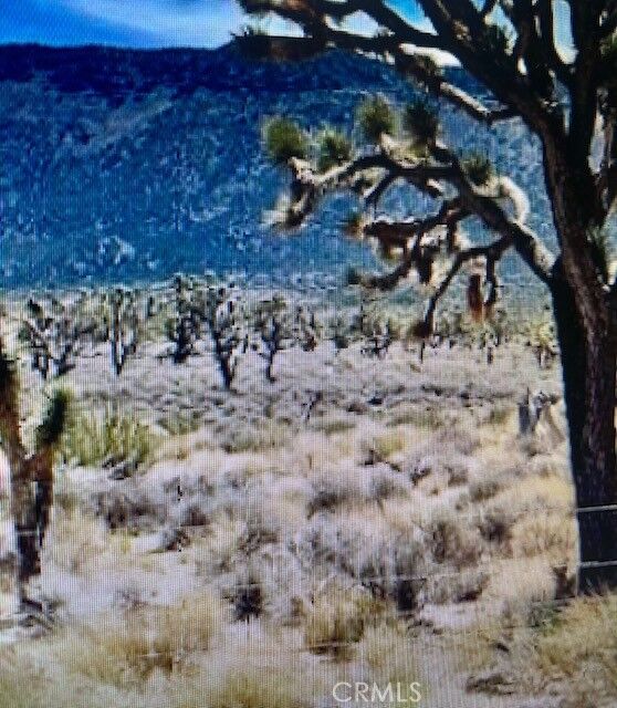 Property Photo: 8 Bobs Gap Road CA 93544