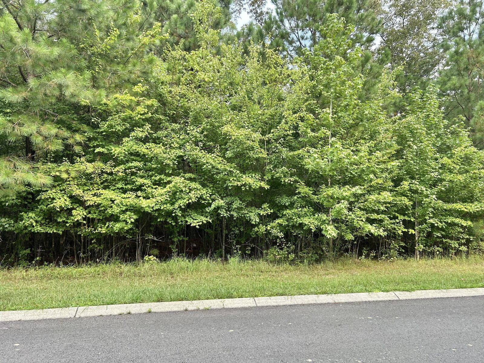 Property Photo: 0 Seminole Ln TN 37355