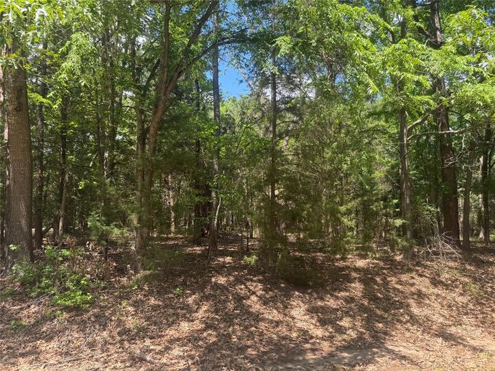 Property Photo:  Lot 73 Cypress Cr  TX 75457 